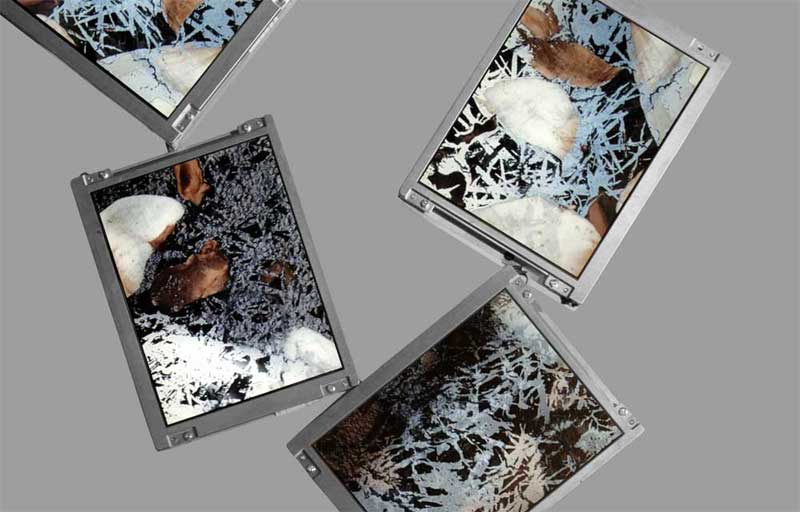 video art by murdim shows the blood of earth as an alternative to  digital art video